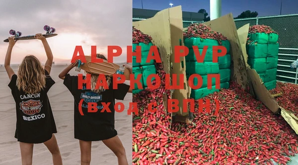 крисы Алексин