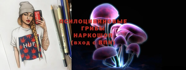 крисы Алексин