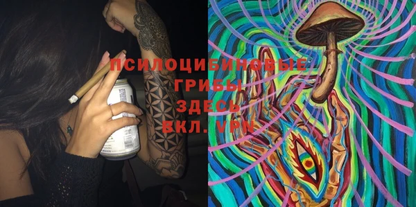 крисы Алексин