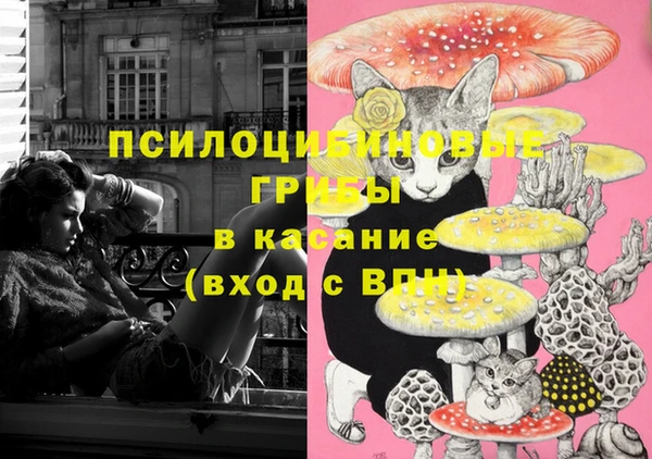 скорость Россошь